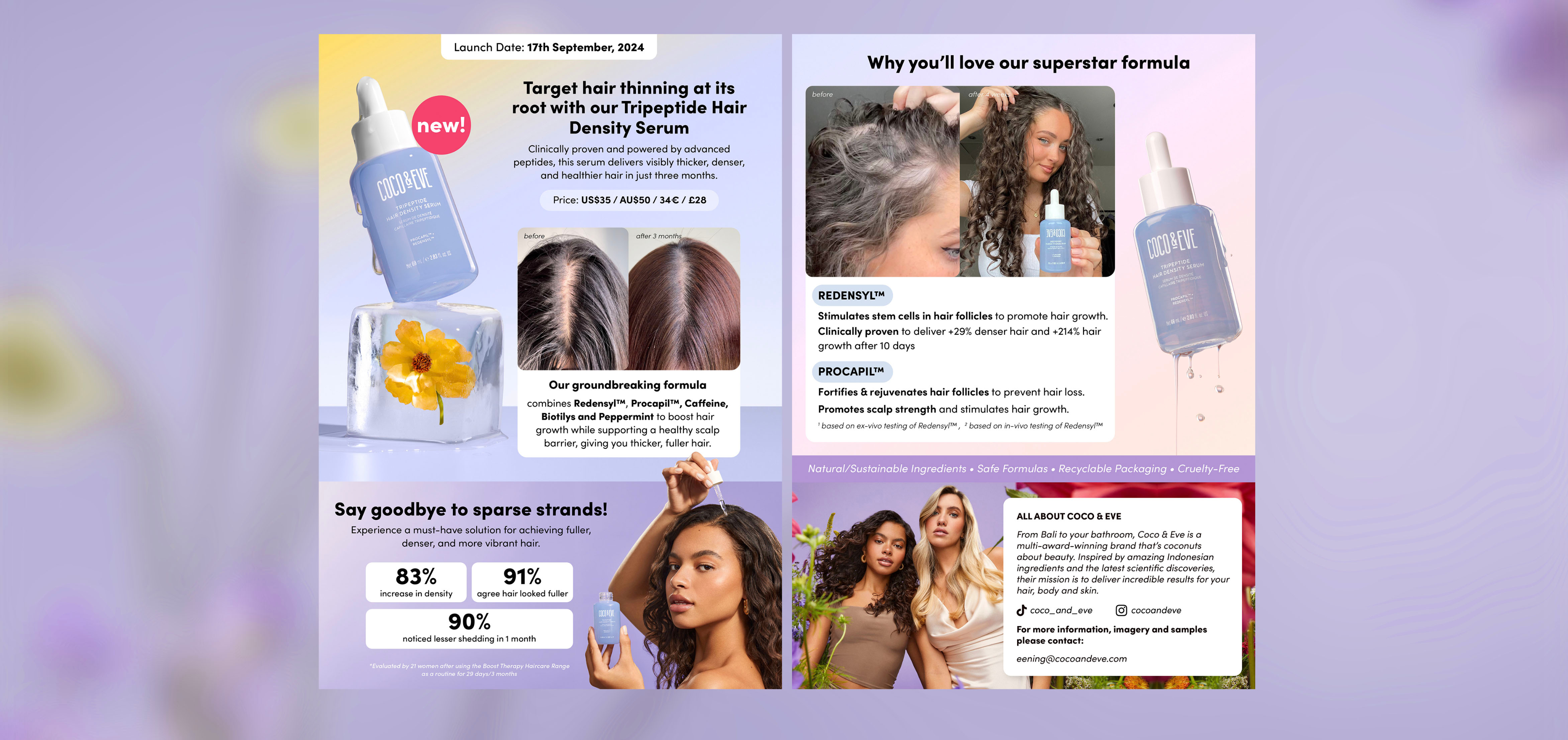 Stationery design of letterhead and business cards for the company Anders on top of a blurred photo of a house interior.